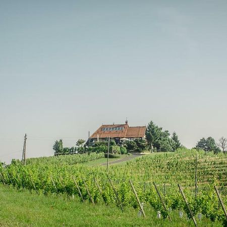 Taverna & Wine Jeruzalem Ivanjkovci Ngoại thất bức ảnh