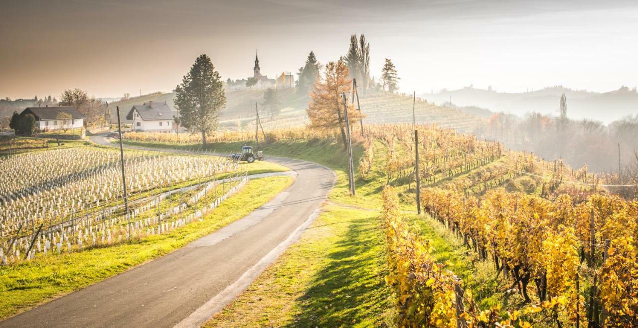 Taverna & Wine Jeruzalem Ivanjkovci Ngoại thất bức ảnh