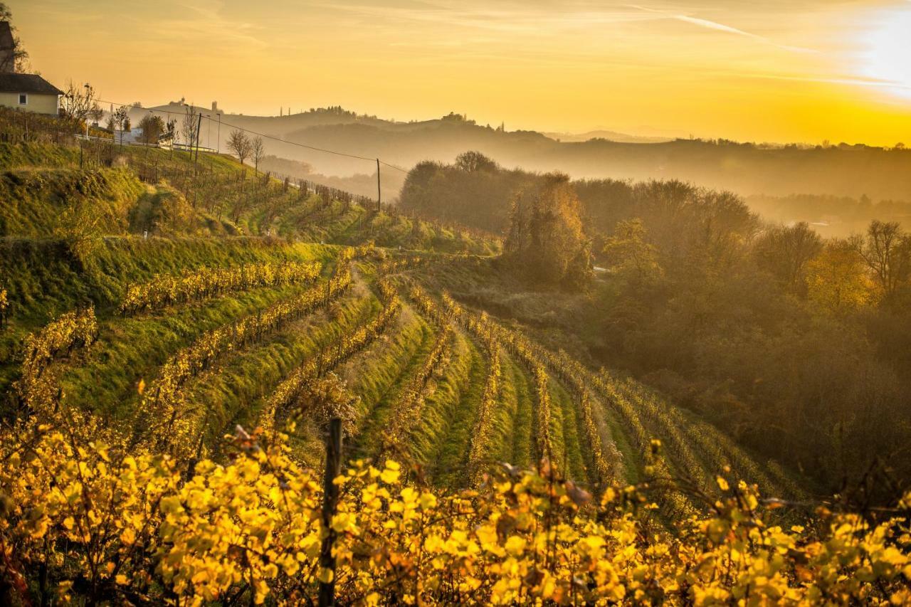 Taverna & Wine Jeruzalem Ivanjkovci Ngoại thất bức ảnh