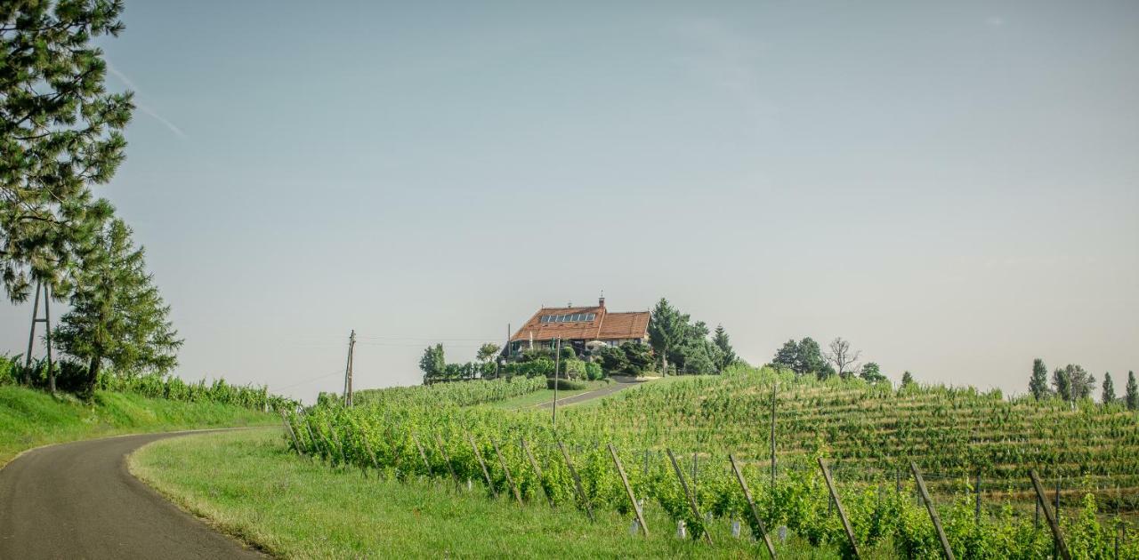 Taverna & Wine Jeruzalem Ivanjkovci Ngoại thất bức ảnh